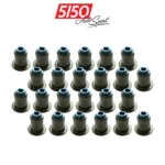 Viton Valve Stem Seals, BMW S58