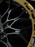 VFC PERFROMANCE - F1XS - Image 2