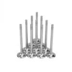 Ferrea Exhaust Valves for 2.5T FSI Gen 1/2 TSI (10PCS)